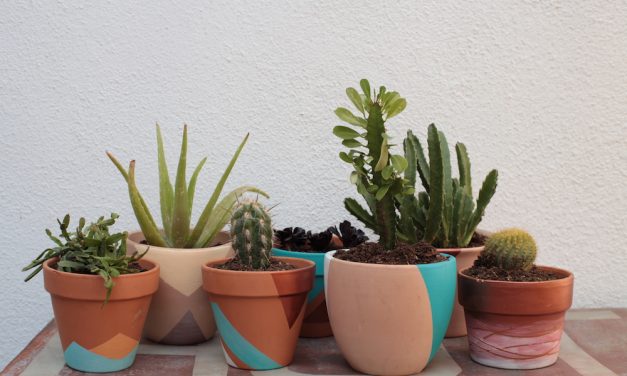 Put a Plant on It  |  DIY Painted Terra Cotta Pots