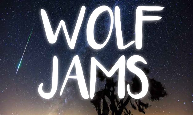 A Playlist for Perseid | Wolf Jams