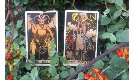 Monthly Medicine | November is Liberation through Sacred Death
