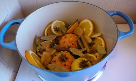 DIY Potpourri | Holiday Simmering Spices