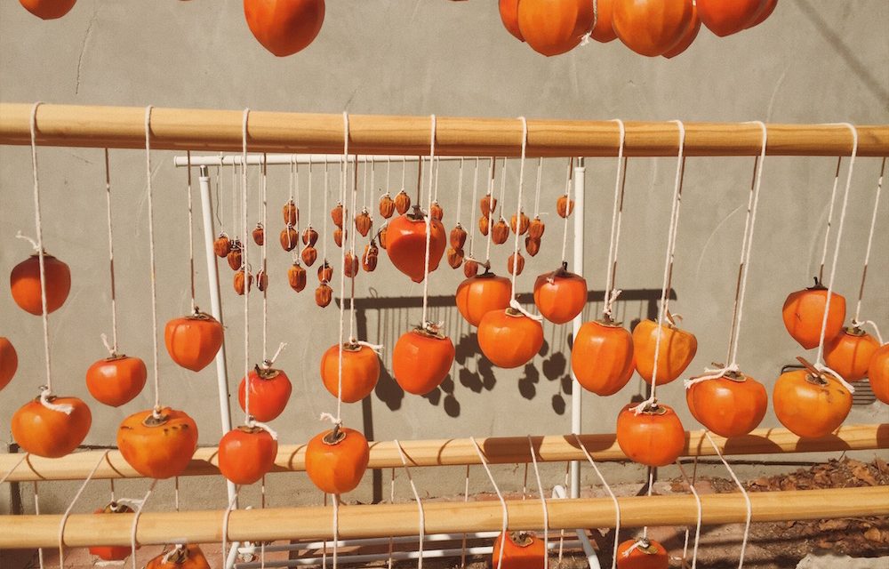 Hoshigaki | The Patient Art of Watching Persimmons Dry