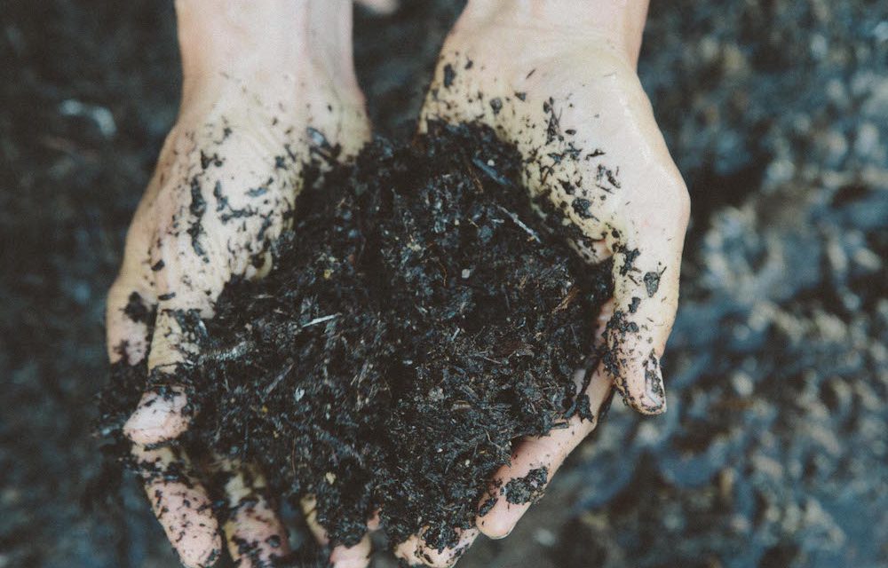 Kiss The Ground | Nurturing the Soil You Walk Upon