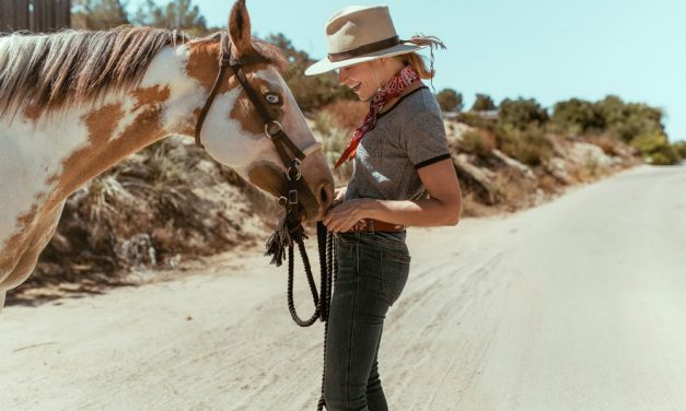 SheHerdPower | Healing with Horses