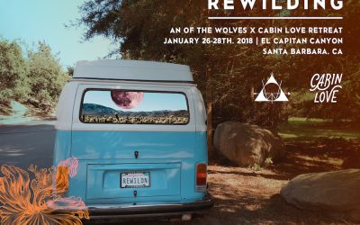 REWILDING Speakers + Partners Announced