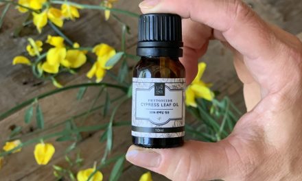 Coniferous Essential Oils’ Impact on Your Mood, Cognition, and Nervous System