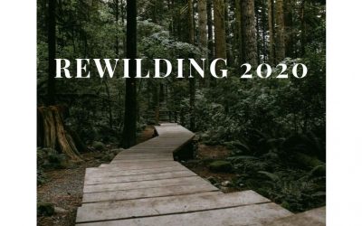 Announcing Rewilding 2020 & Open Registration: A weREWILD & Wolf Tribe Retreat