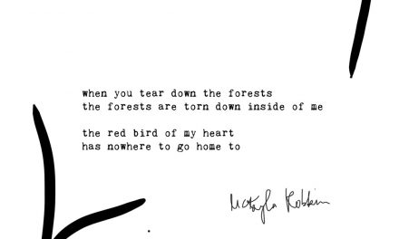 Forests: Typewriter Poems Series