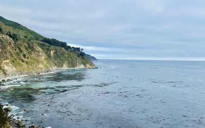 Occupied by Truth & Awe: Meeting the Moment