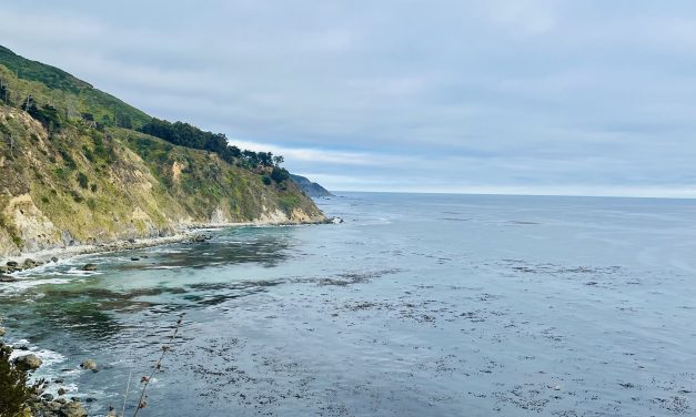 Occupied by Truth & Awe: Meeting the Moment